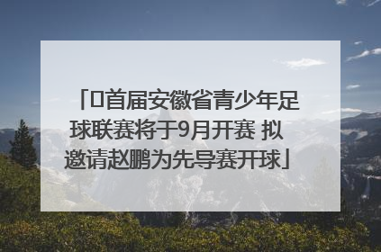 ﻿首届安徽省青少年足球联赛将于9月开赛 拟邀请赵鹏为先导赛开球